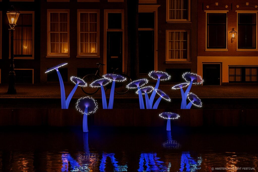 rondvaart amsterdam light festival met eten